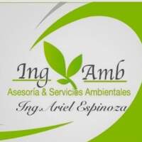 Consultora ING AMBATO