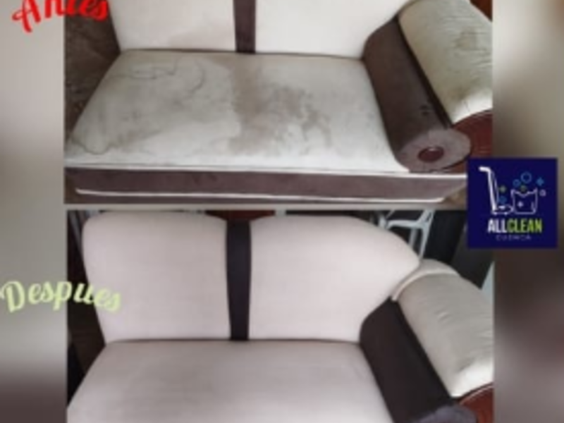 LIMPIEZA MUEBLES LOJA