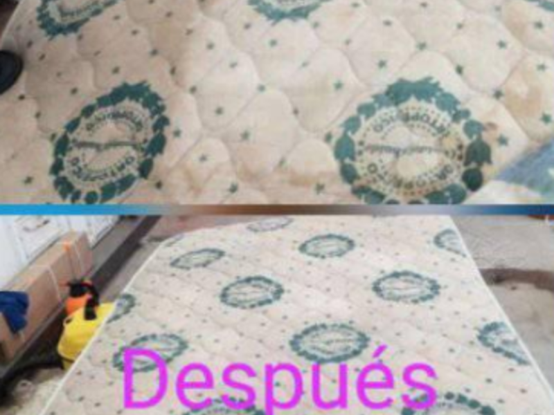 LIMPIEZA MUEBLES CARCHI