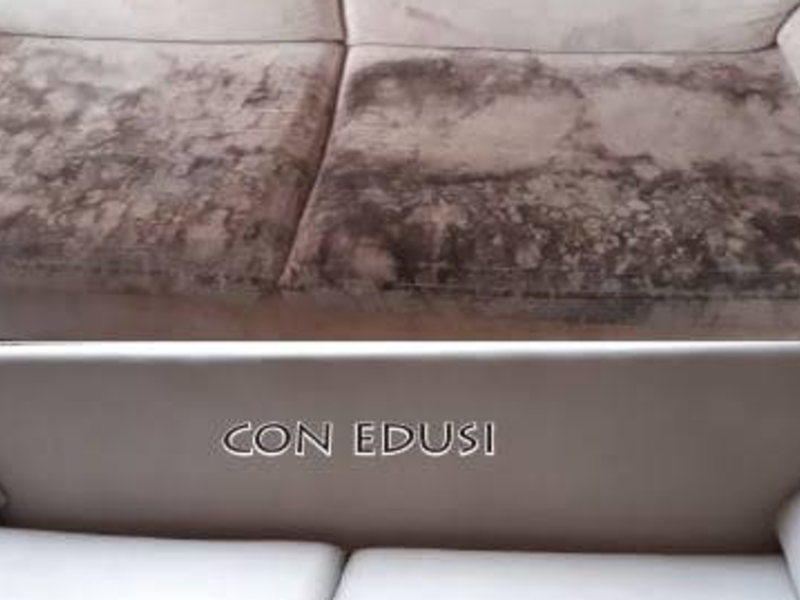 LIMPIEZA MUEBLES LOJA