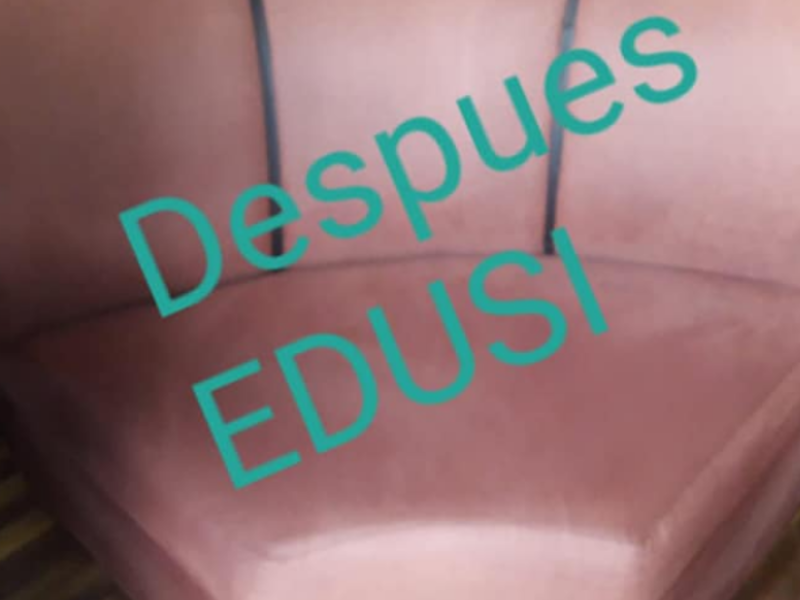 LIMPIEZA MUEBLES CARCHI