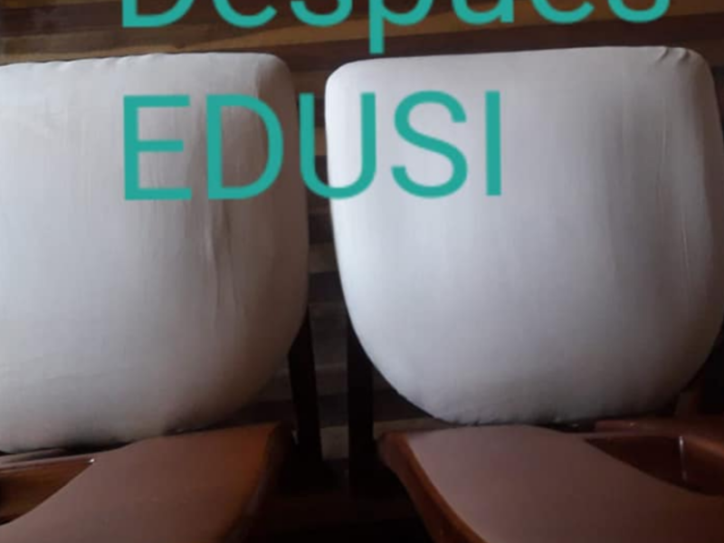 LIMPIEZA MUEBLES CAÑAR