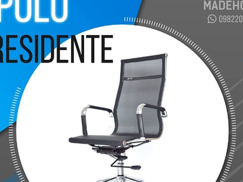 Apolo Presidente Ecuador