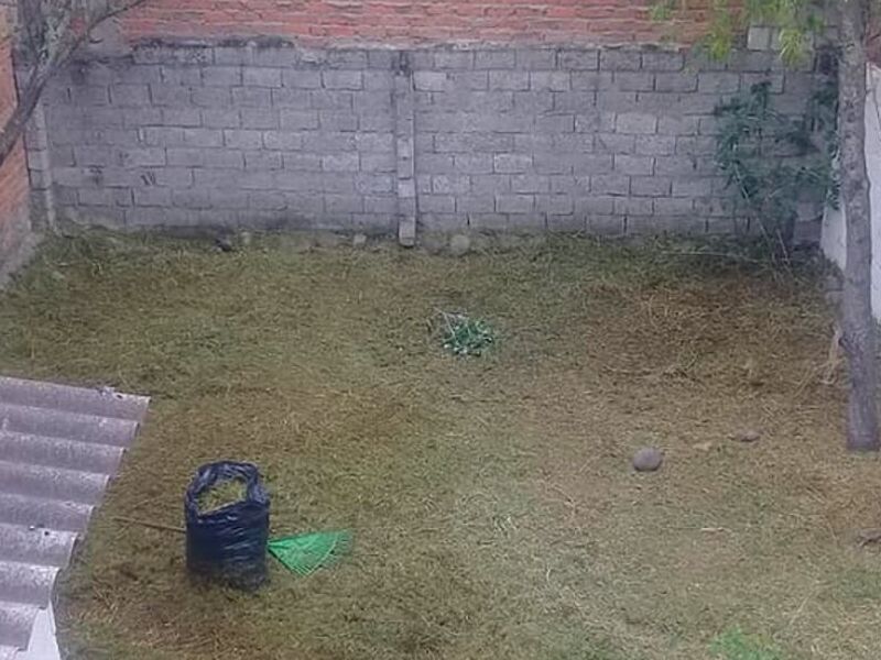 Jardineria residencial Ecuador 