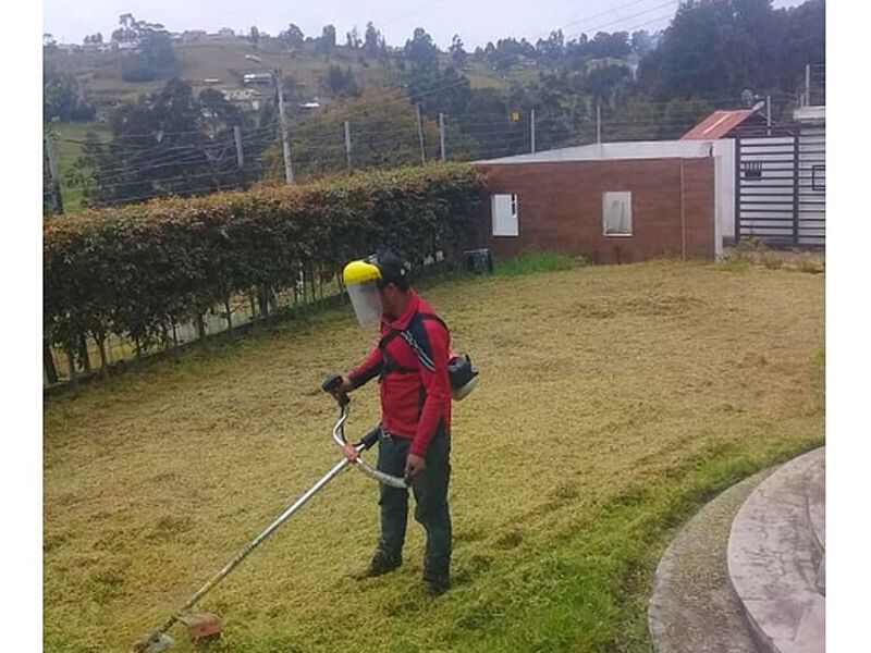 Diseñador paisajista Ecuador 