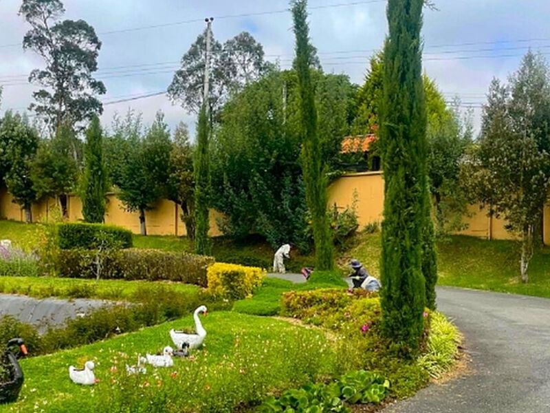 Diseño jardines Ecuador 