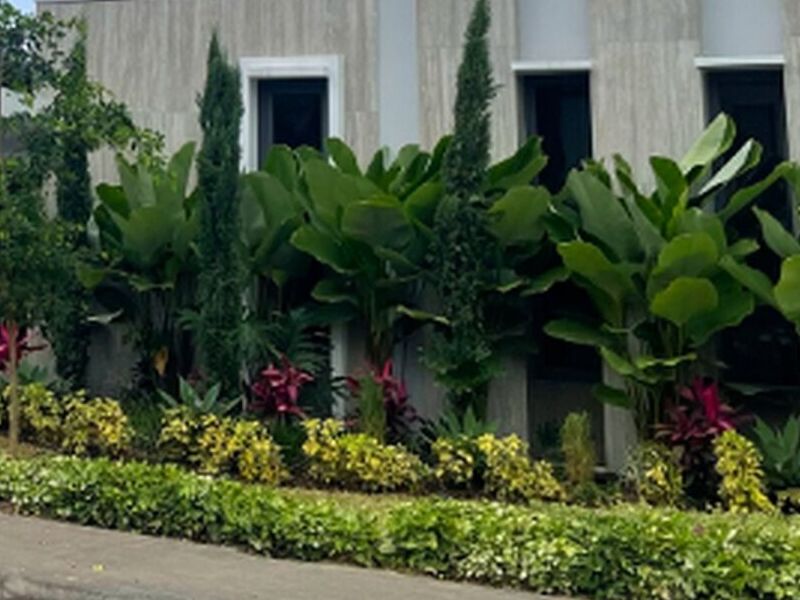 Jardineria Ecuador 