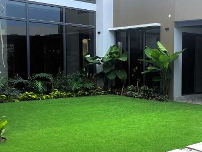 Patio exterior Ecuador 