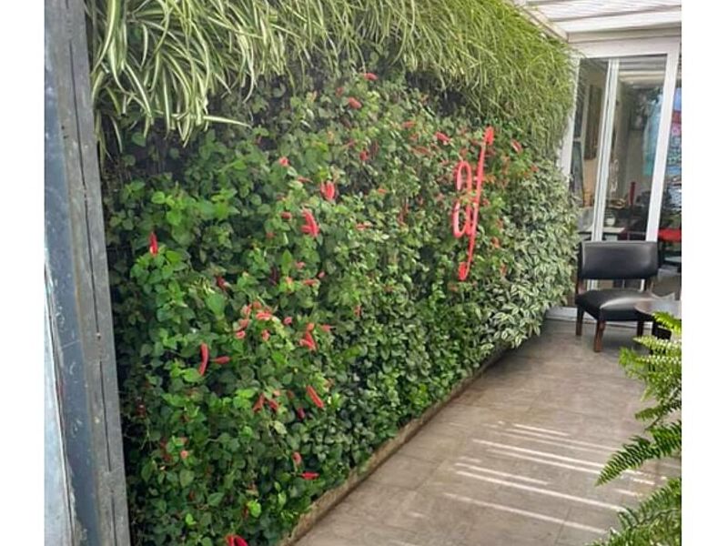 Diseño jardin vertical Ecuador 