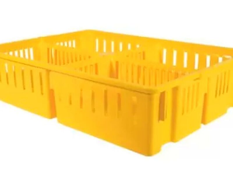 Gaveta transporte para pollos