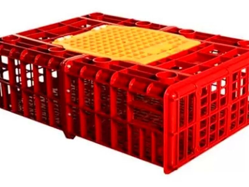 Guacales para pollos rojo 