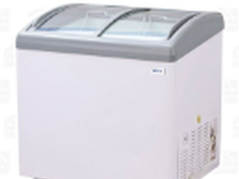 Congeladora 256 Lts. 