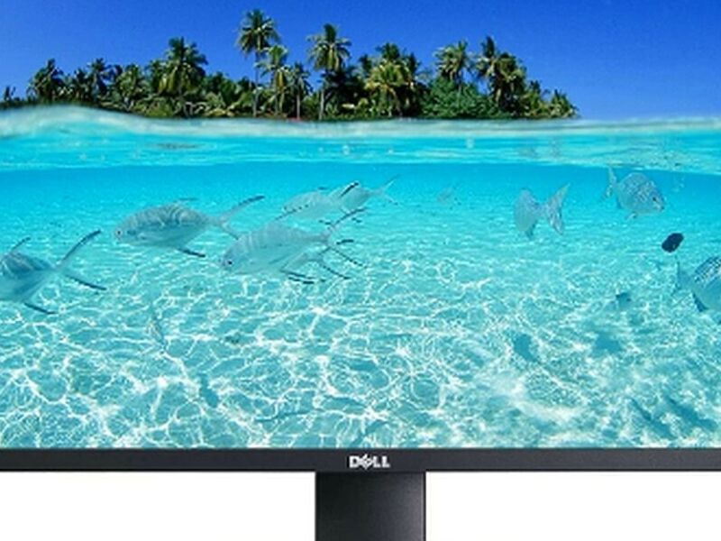 Dell P2412HB