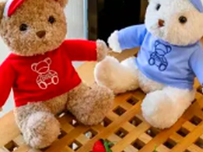 Peluche Oso Con Camiseta Y Cintillo