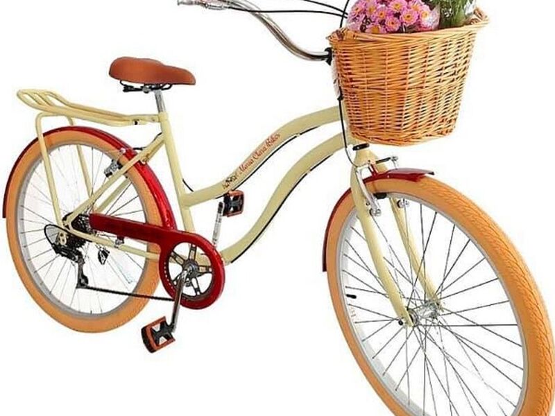 Canasta de mimbre para bicicleta Daule