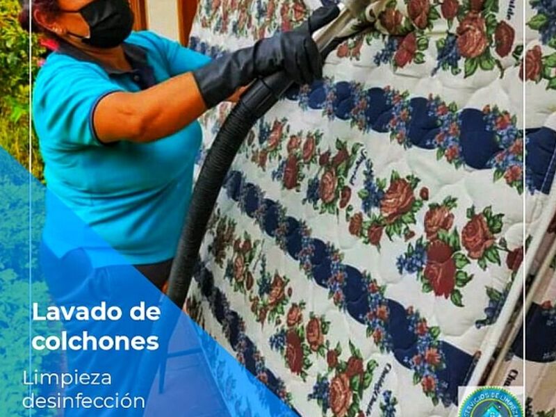 Desinfecion de colchones Ecuador