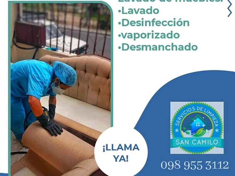 Vaporizado de Muebles Ecuador