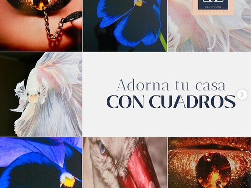 Cuadros Decorativos Ecuador 