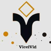 VicelVid