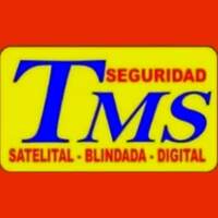 SEGURIDAD TMS