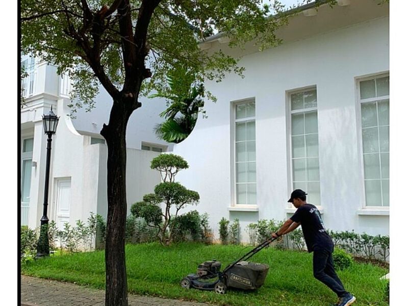 mantenimiento jardin Ecuador 