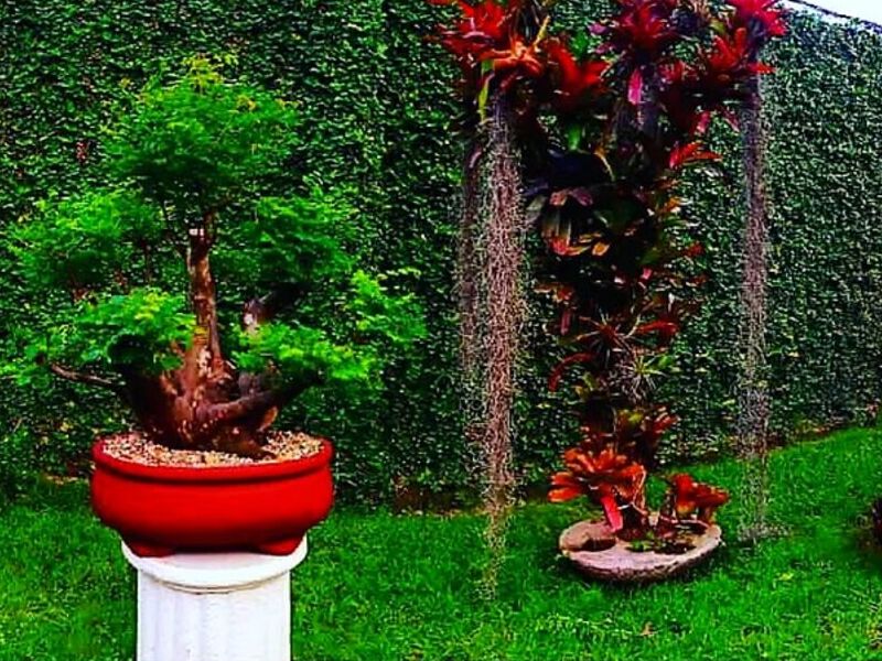 paisajes miniatura Ecuador 
