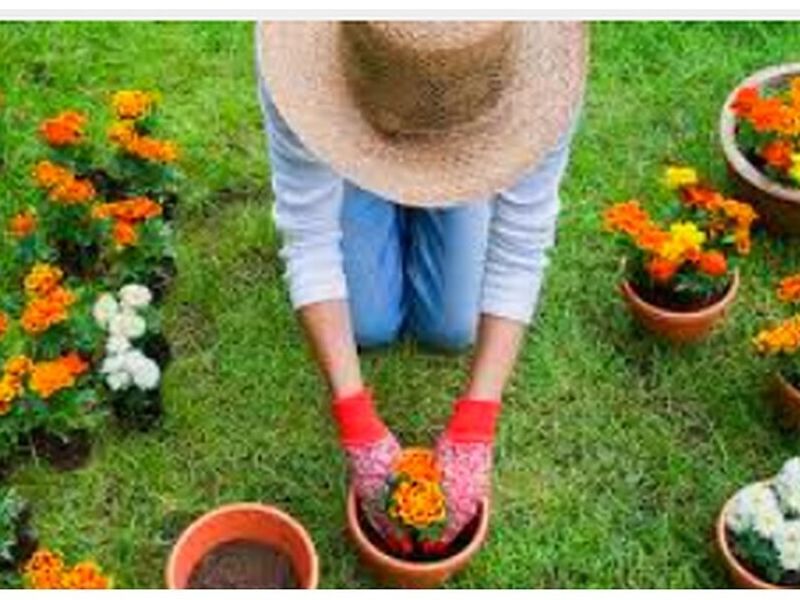 jardineria Ecuador 