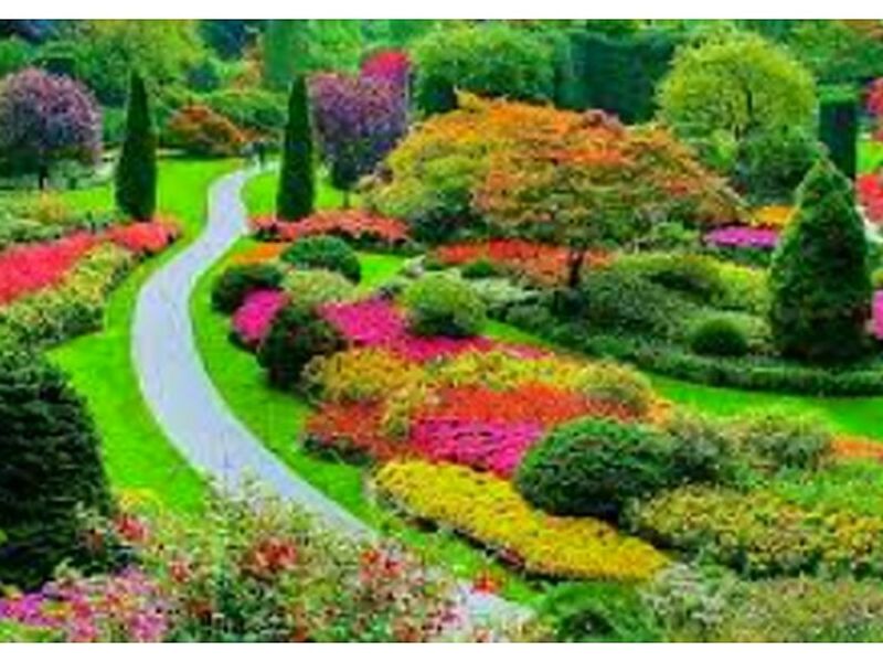 jardin lumi Ecuador 