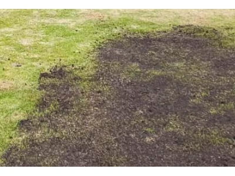 podado cesped Ecuador 