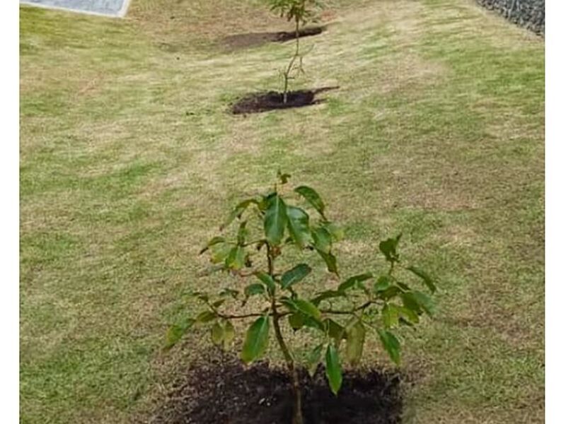 abono, riego de jardines Ecuador 