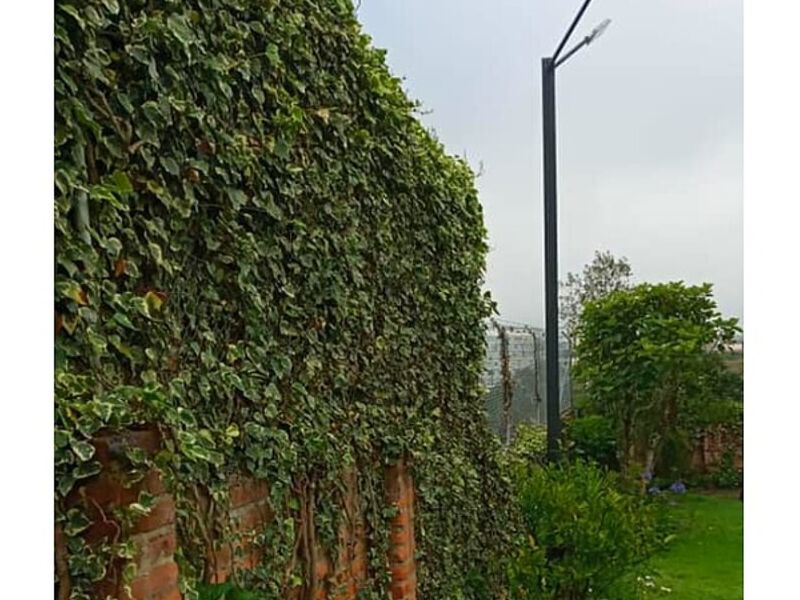 Quita malesa  Ecuador 