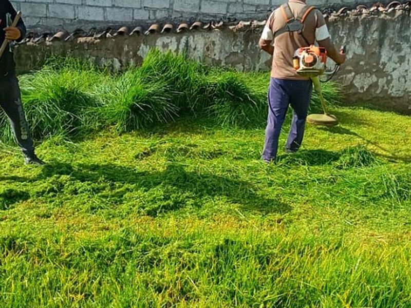 Limpiamos y eliminamos hierva mala Ecuador 