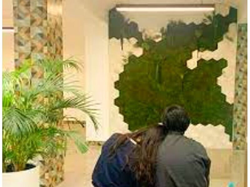 Pared verde