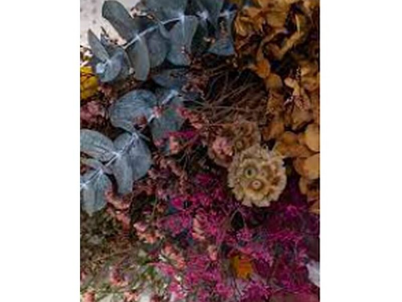 Rosas preservadas