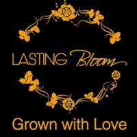 Lasting Bloom