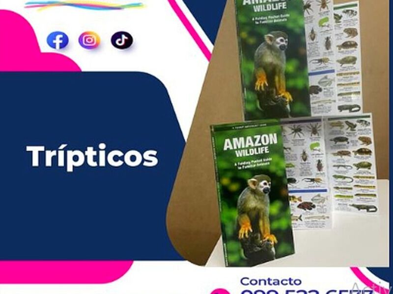 Trípticos Ecuador  