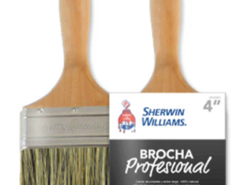 Brocha Profesional Ecuador  