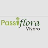 Passiflora Vivero