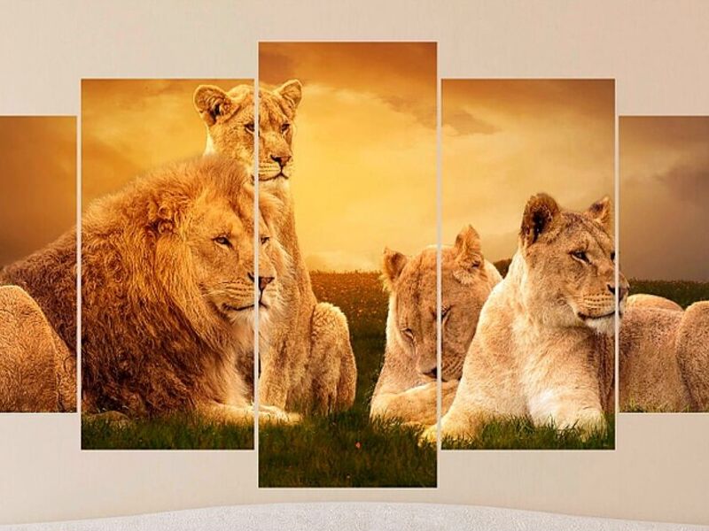 Cuadro Decorativo Leones Ecuador