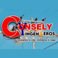 CONSELY DISTRIBUIDORES