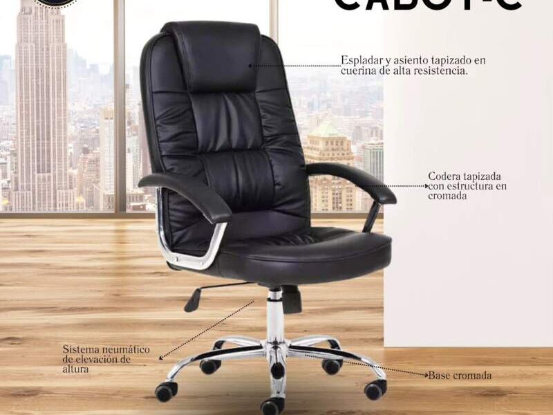 Sillón Presidente Cabot