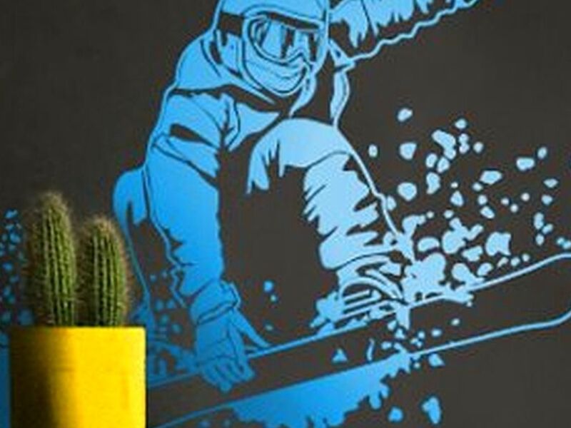 Vinilo Decorativo Snowboard  Ecuador