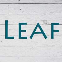 Cojines LEAF