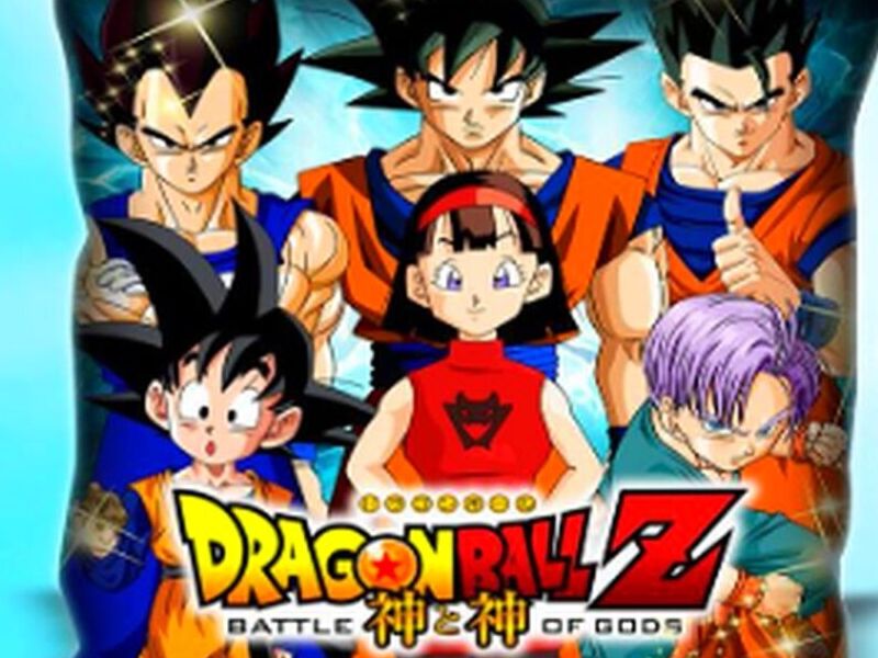 Cojín DBZ Ecuador