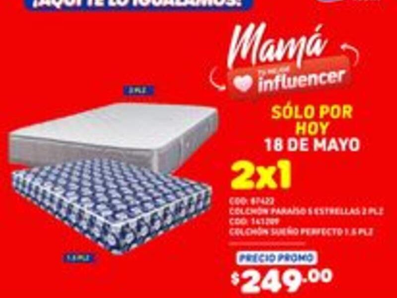 Colchón Antiácaros