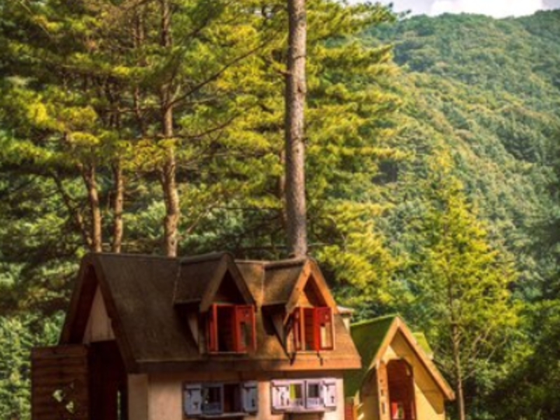 Construcción Cabañas Madera Quito