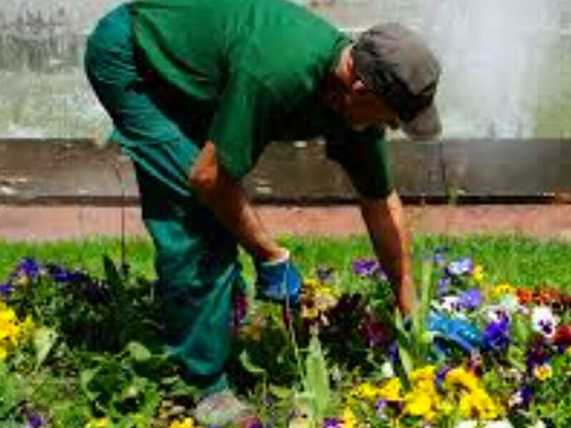 Jardinería Ecuador