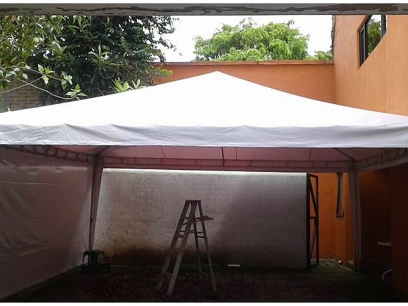 Carpa Mediana Ecuador