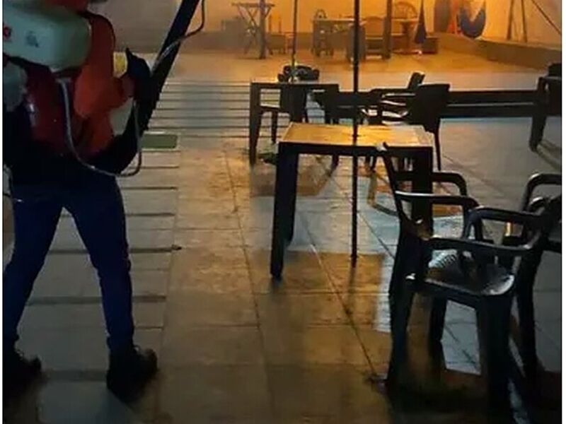 Fumigación de Insectos Ecuador