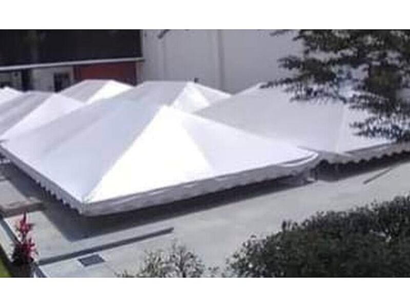 Carpa White Ecuador